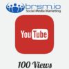 100 targeted YouTube views