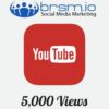 5000 youtube views