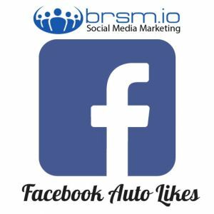 facebook auto likes with BRSM.IO